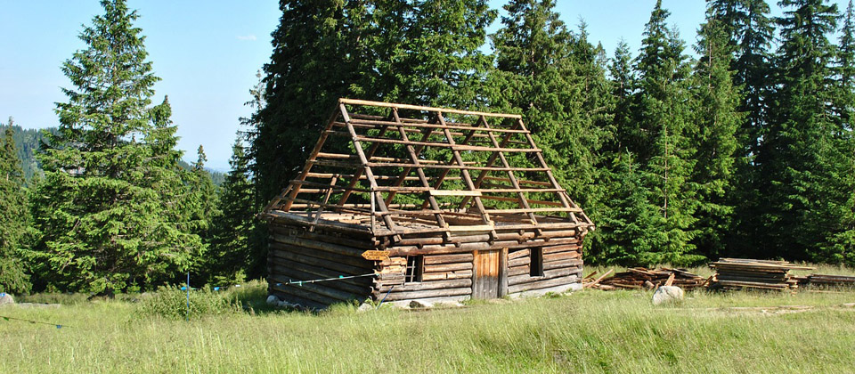 Bukowina foto